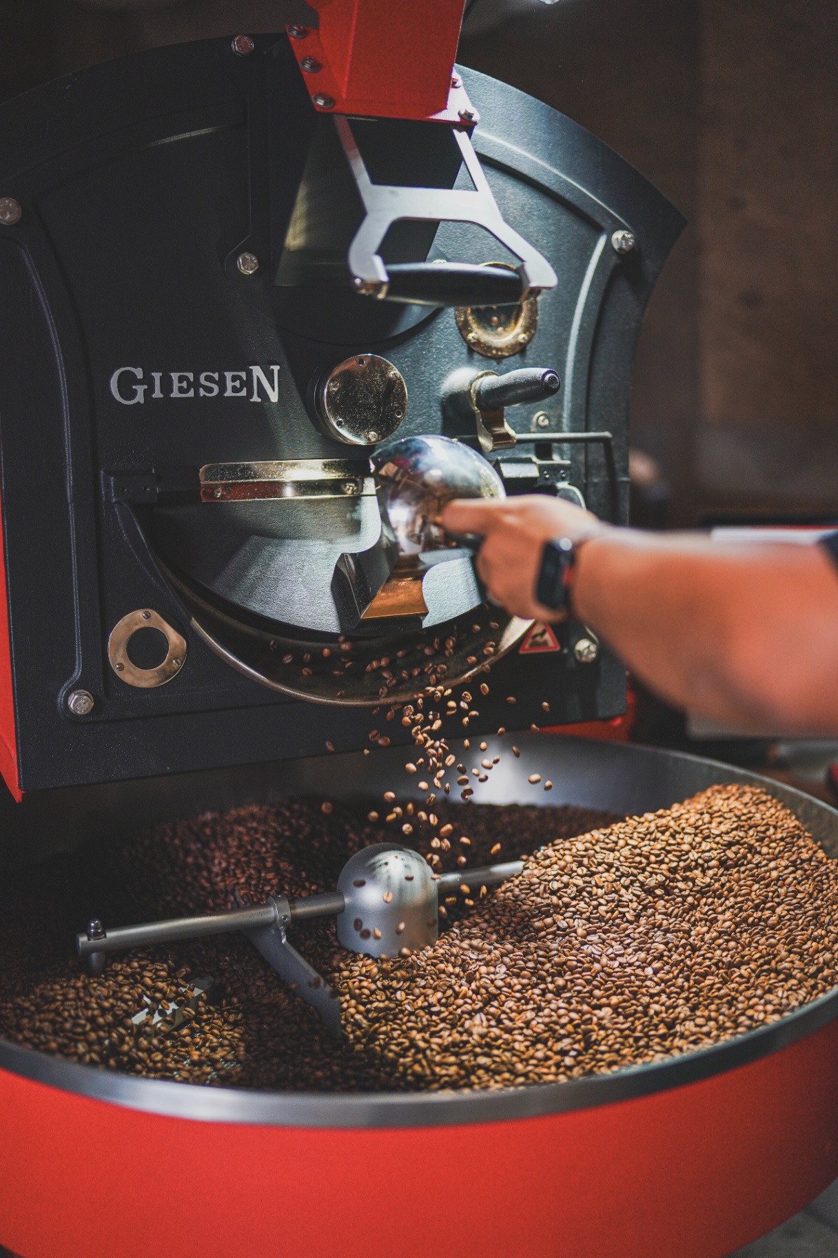 Čerstvě upražená zrna v pražírně MLK Coffee Roastery